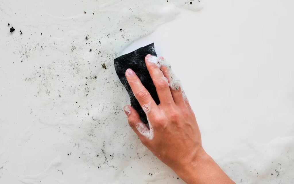 mold remediation