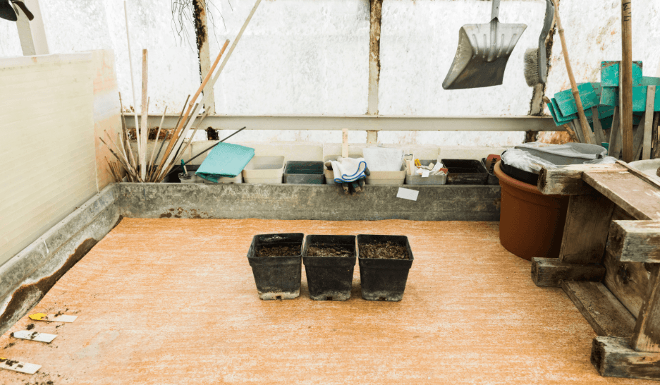 Basement Finishing Services